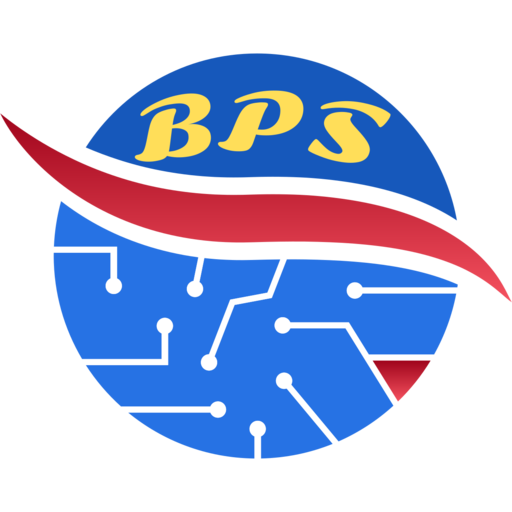 BRAIN POWER SOLUTIONS INC(BPS)